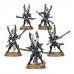 Warhammer 40,000: Drukhari Incubi